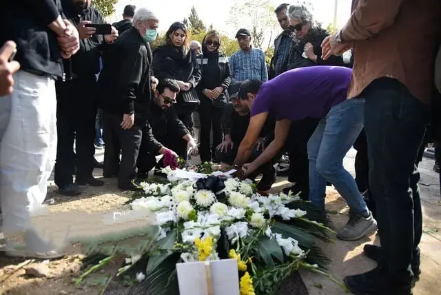 photo_2025-11-12_11-22-41