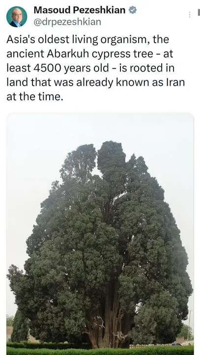 63834159