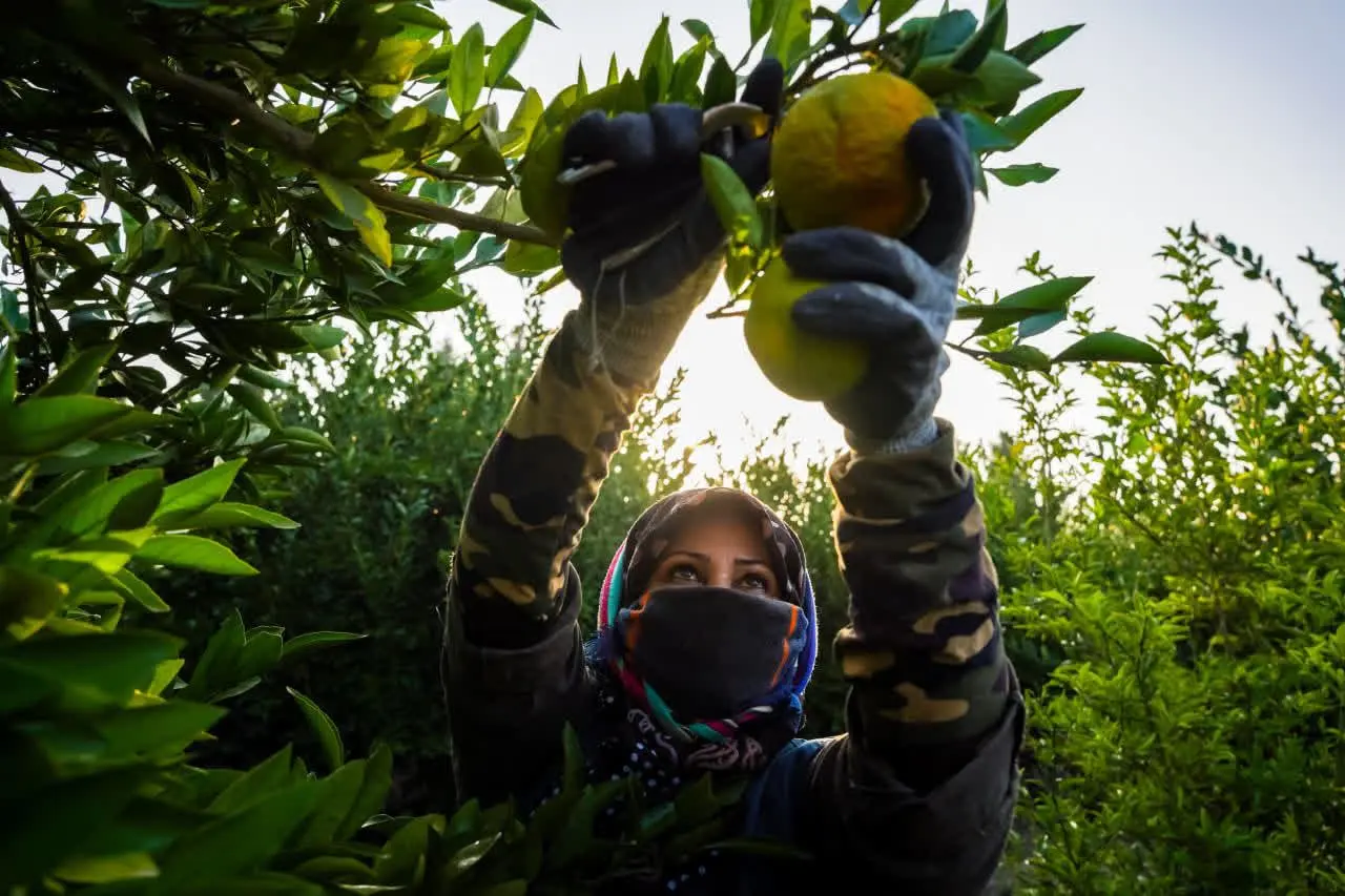 زمین زن زخم