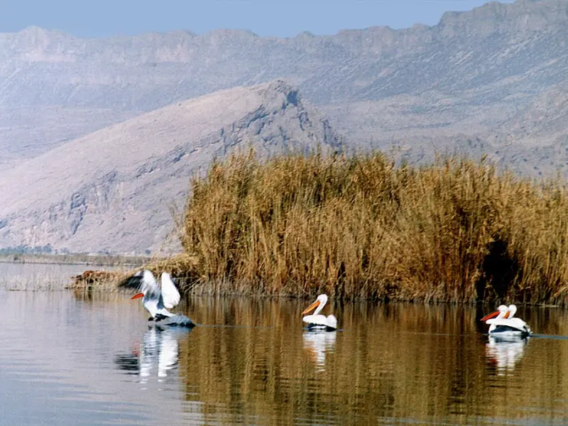 تالاب پریشان
