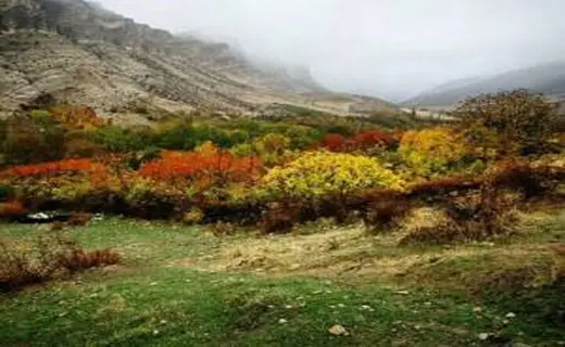 درکش 1