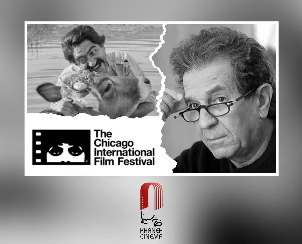 فیلم گاو
