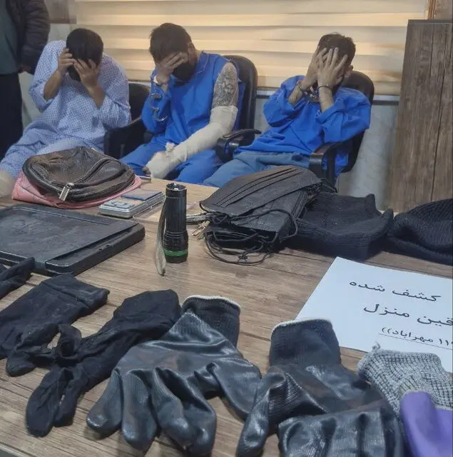 سارقان منزل