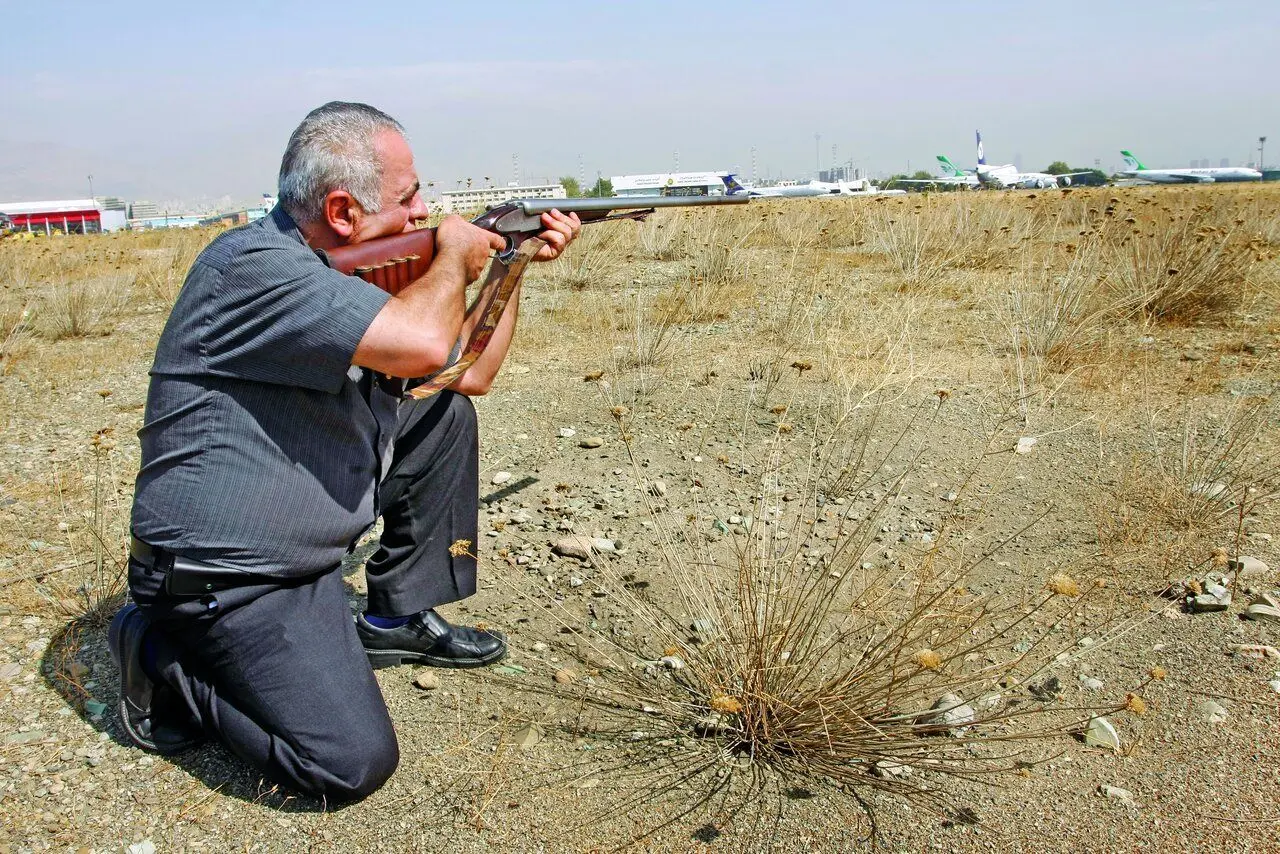 شکارچی پرنده