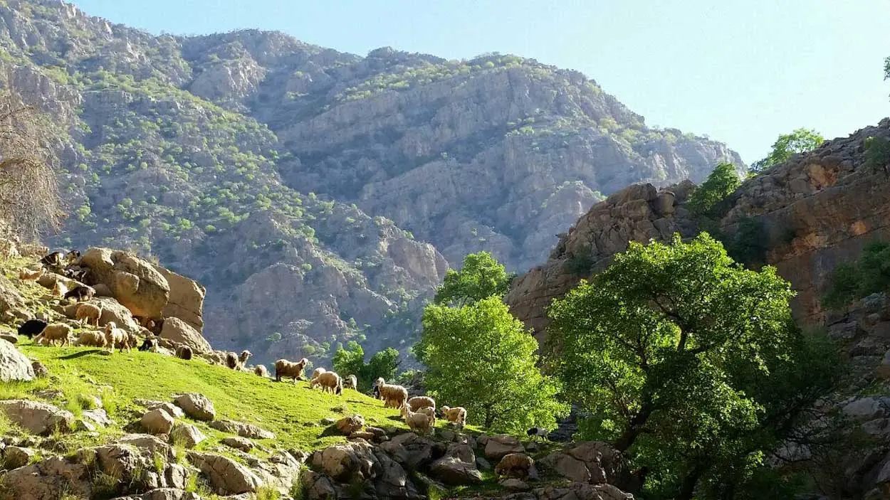 دشت شیمبار 4
