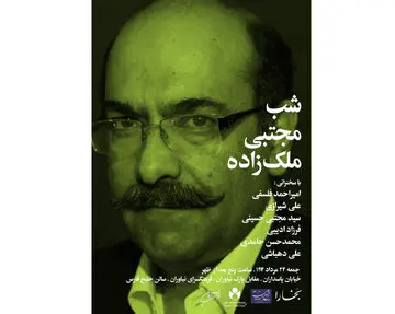 مجتبی ملک زاده