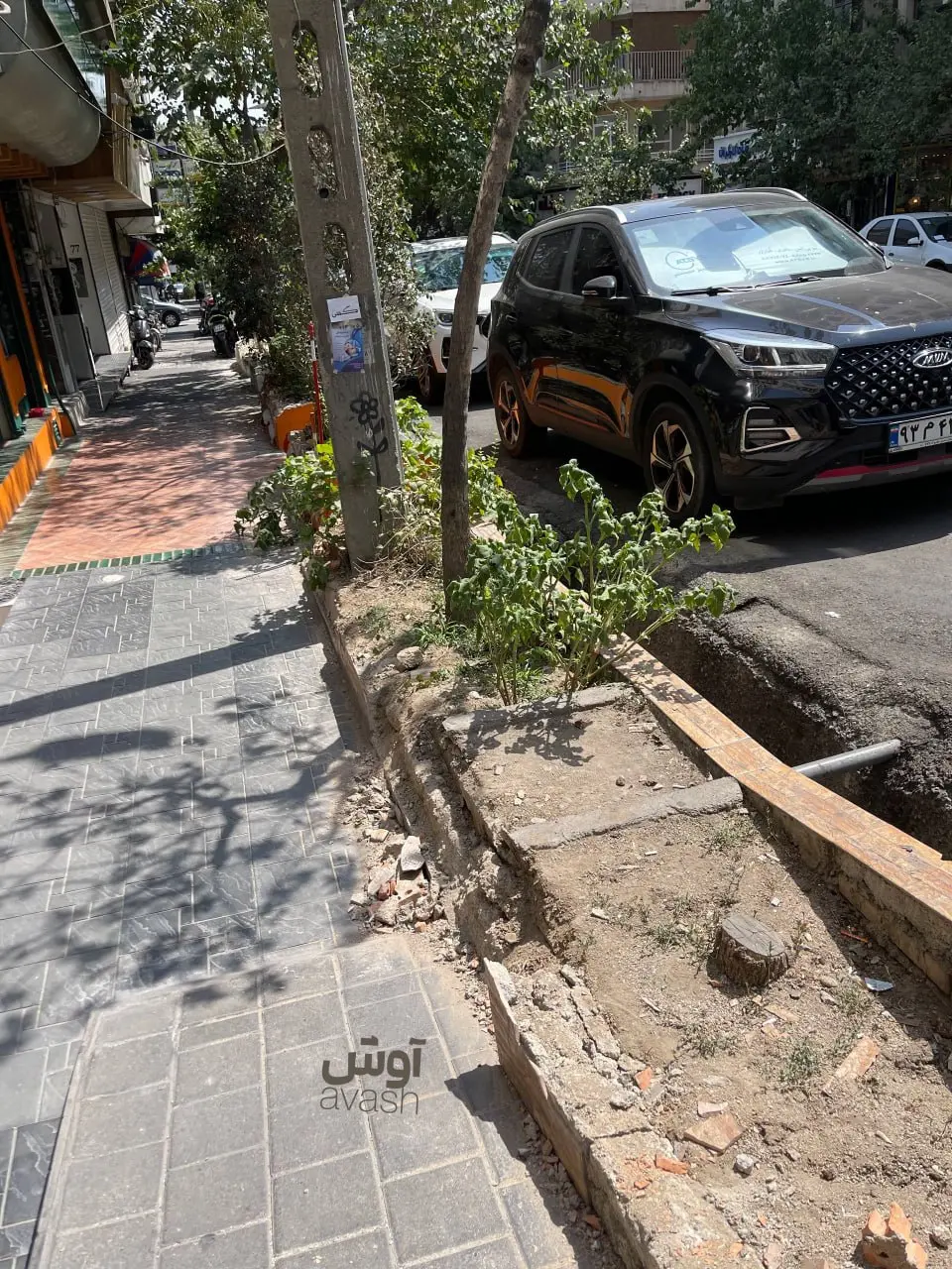 سنایی