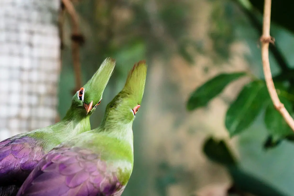 13-10-24-224425supercoolpics_05_24042010155906