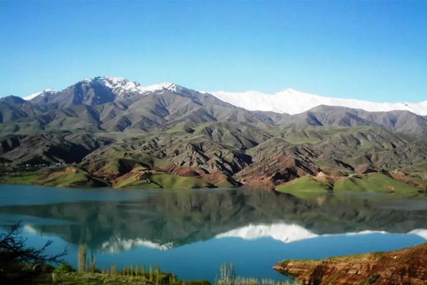 آردینه