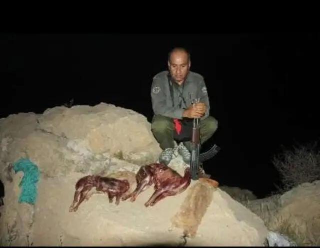 محیط بان