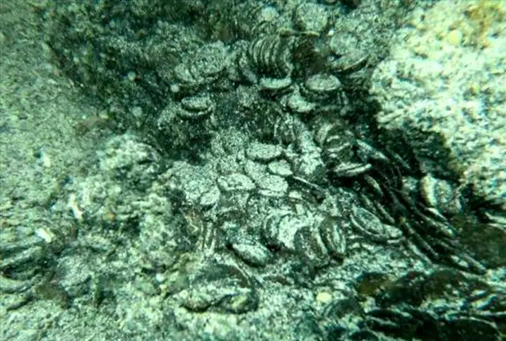 گنج 1