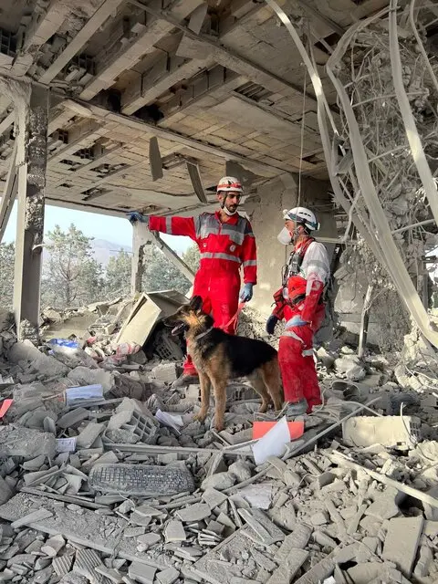 سگ زنده یاب