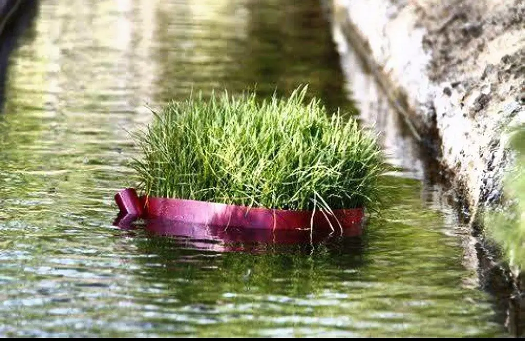 سیزده به در