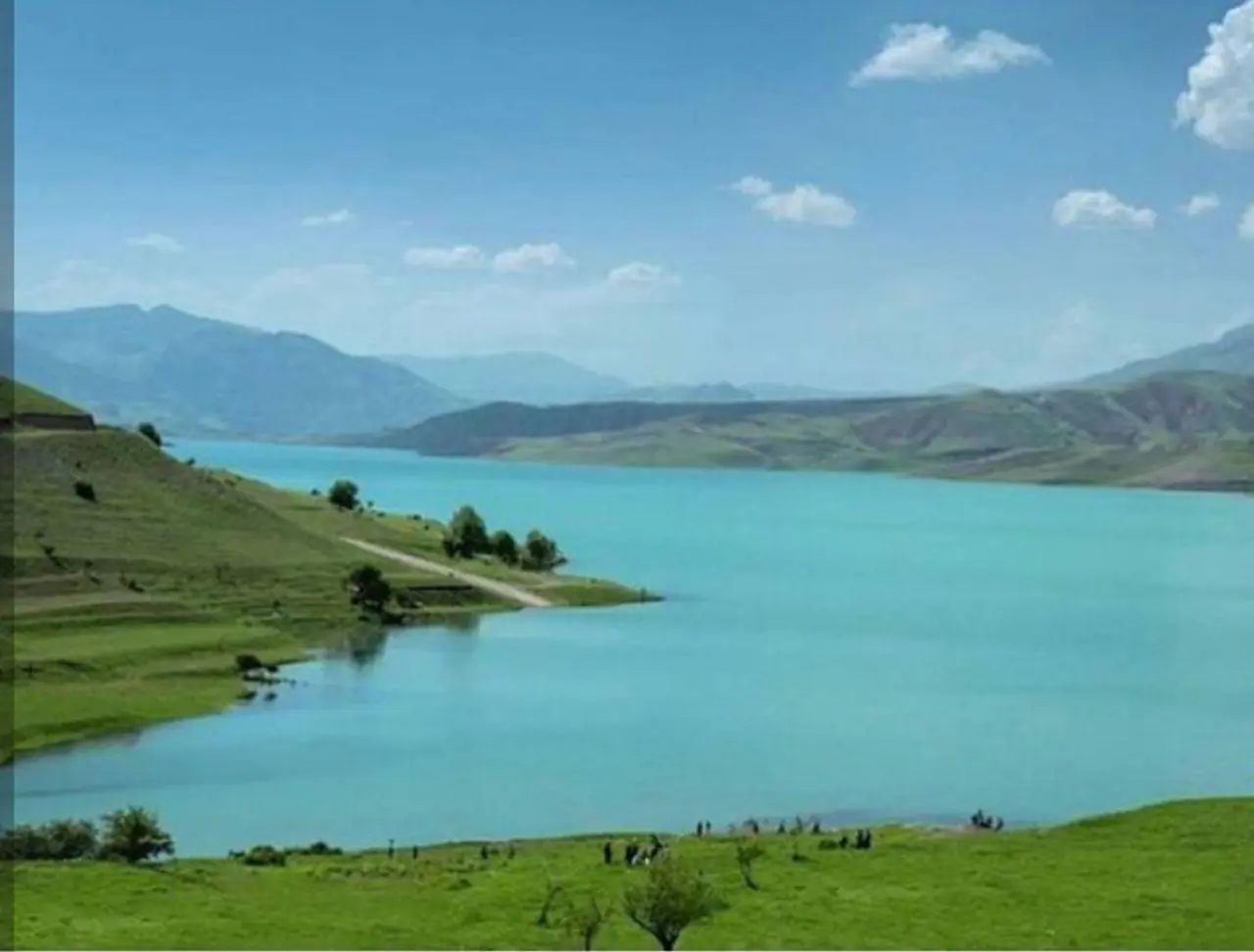 آردینه