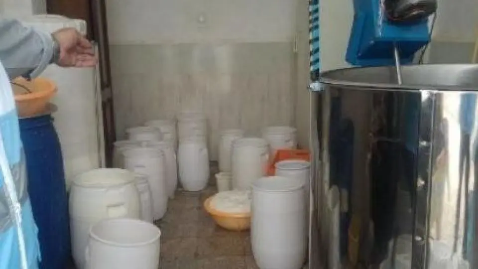 لبنیات سنتی