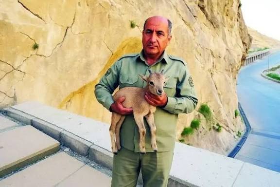 محیط بانان ایرانی