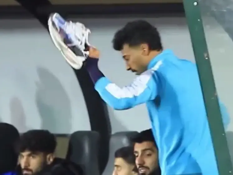 رامین رضاییان