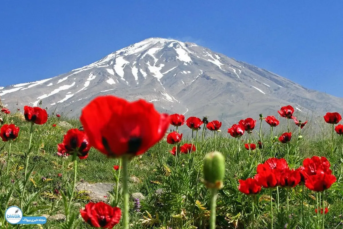damavand_mount