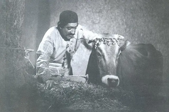 فیلم گاو