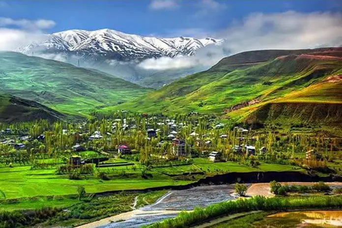 آردینه