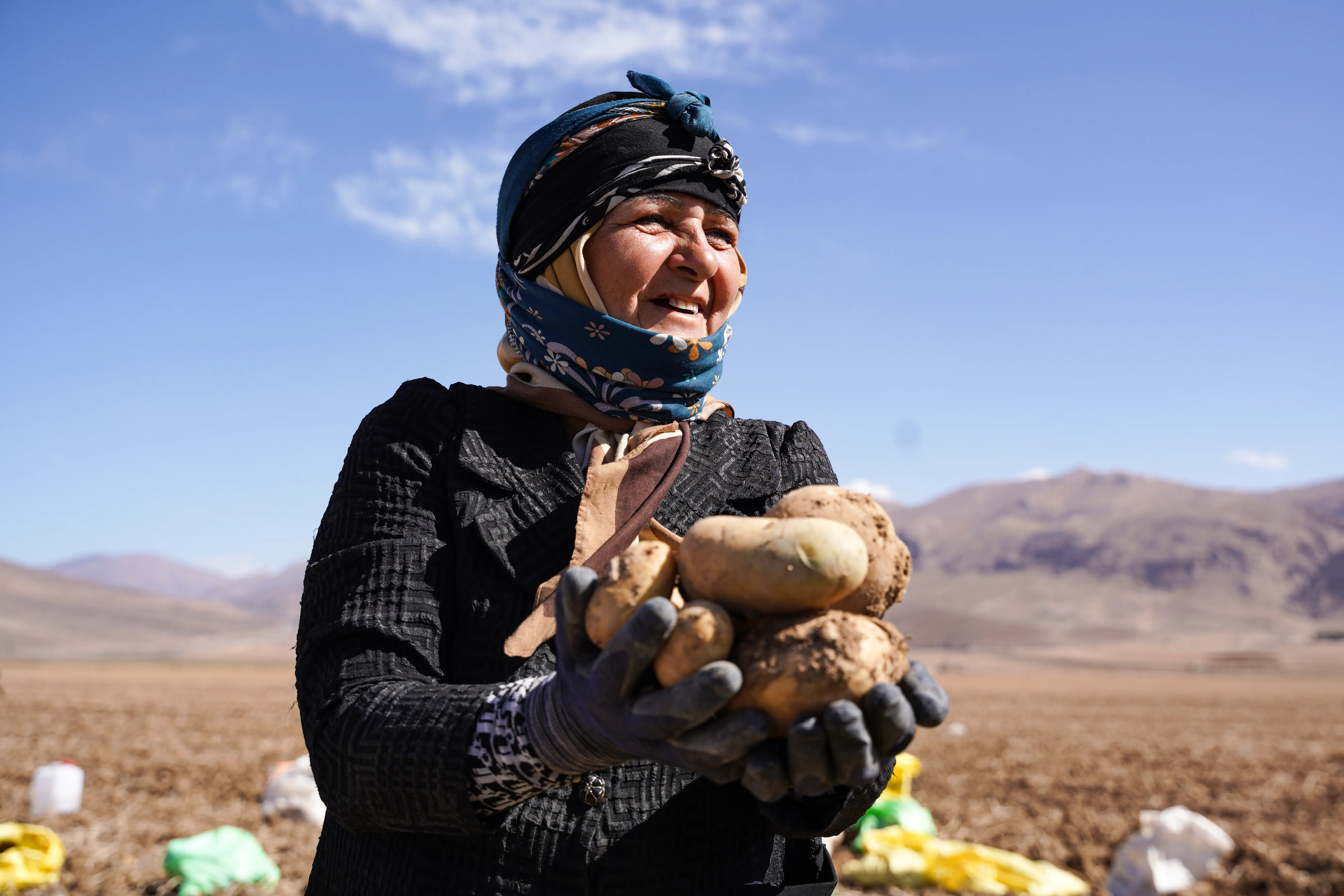 زمین زن زخم