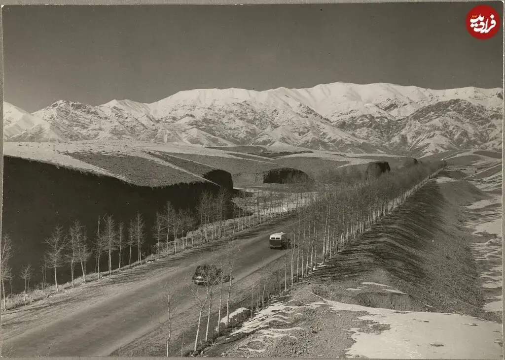 تهران
