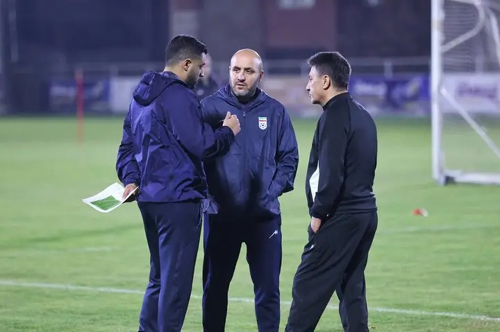 امیر قلعه نویی