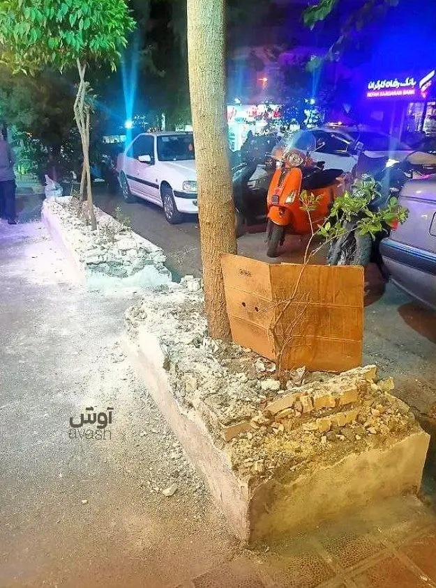 سنایی