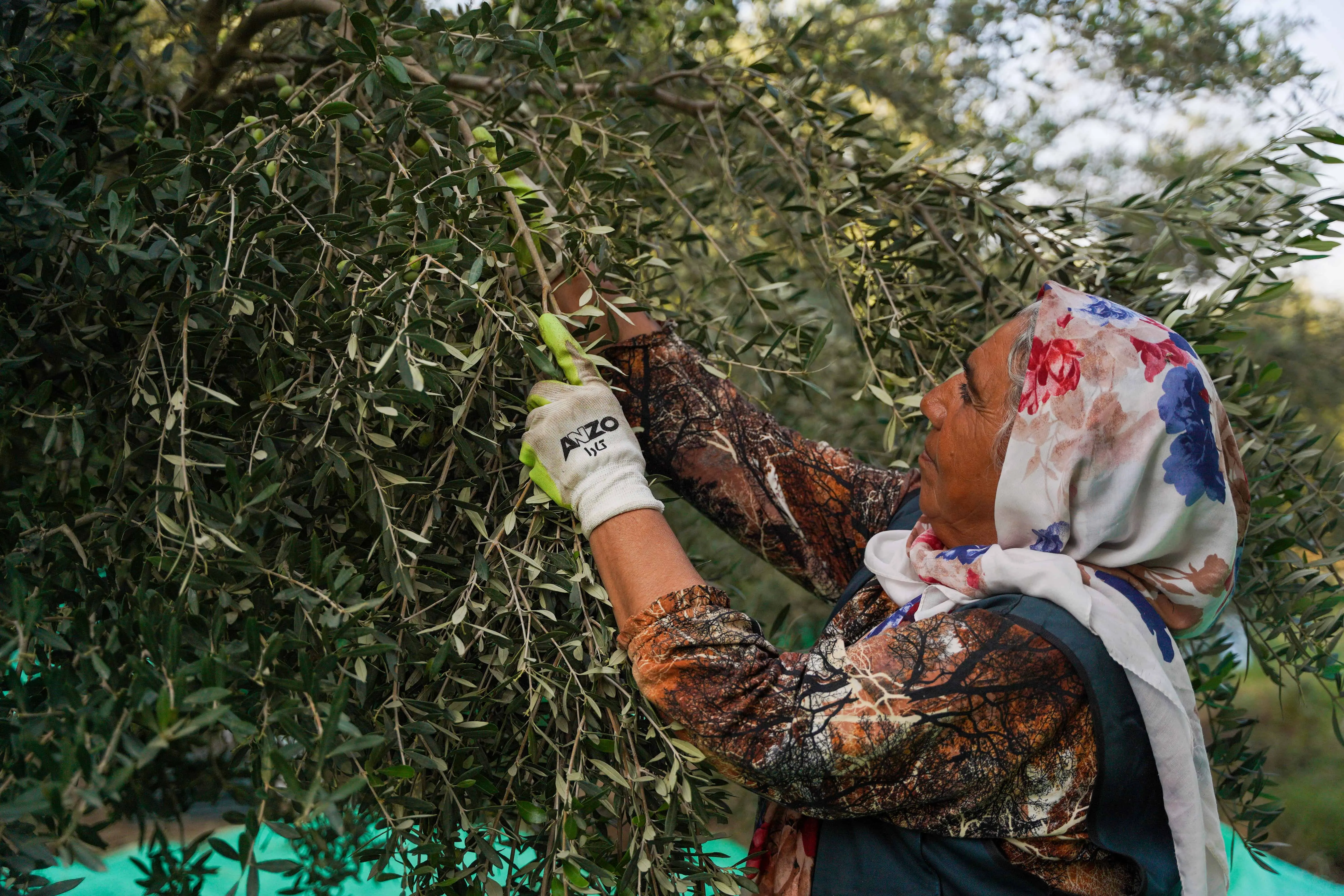 زمین زن زخم