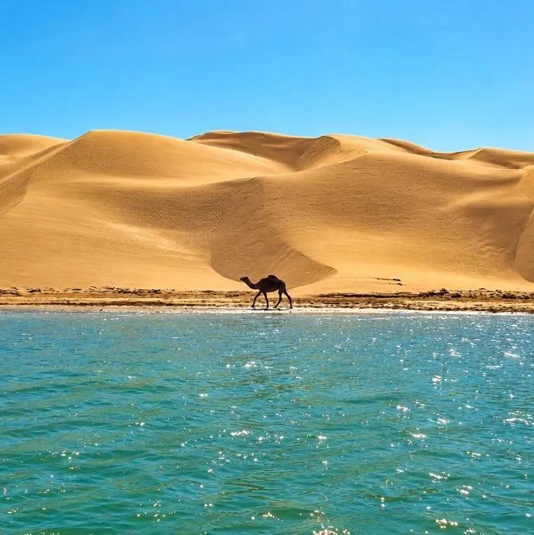 درک