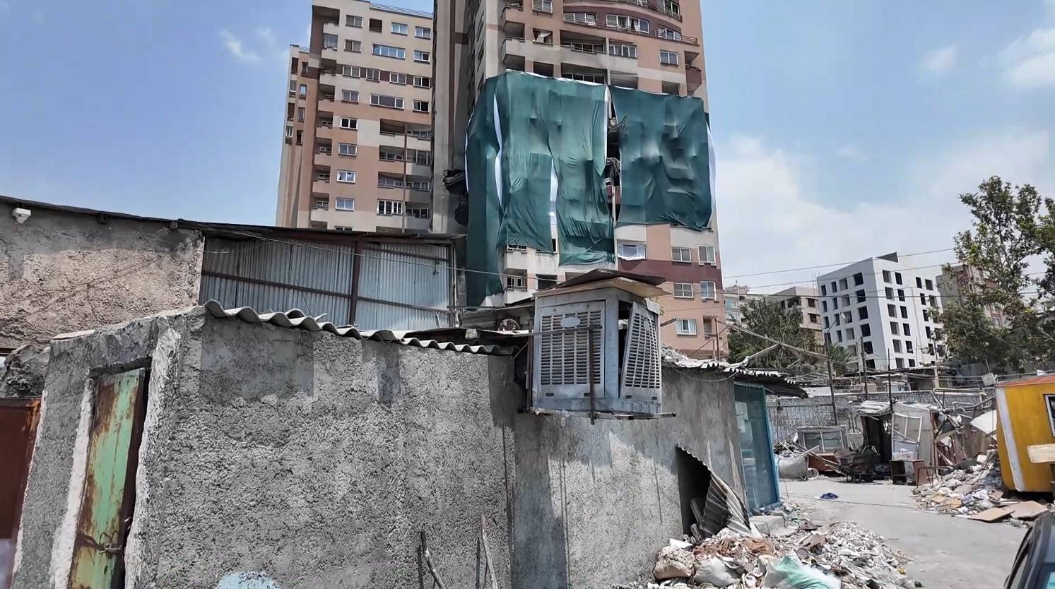 مجتمع سرو اساتید