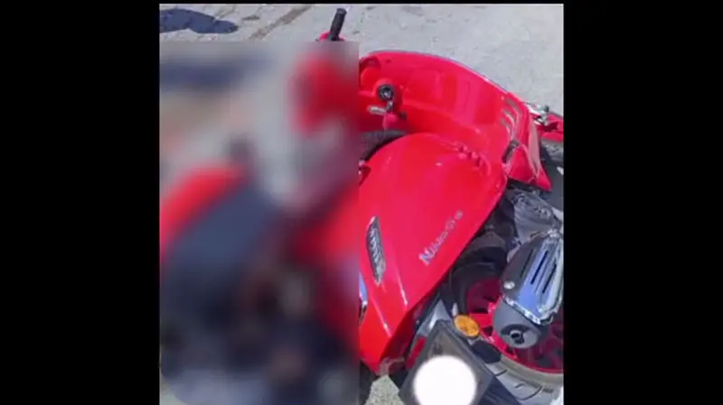تصادف+مرگبار (1)