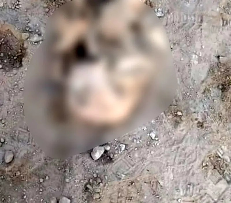 کشف+خودرو+و+جسد+مدفون_شده