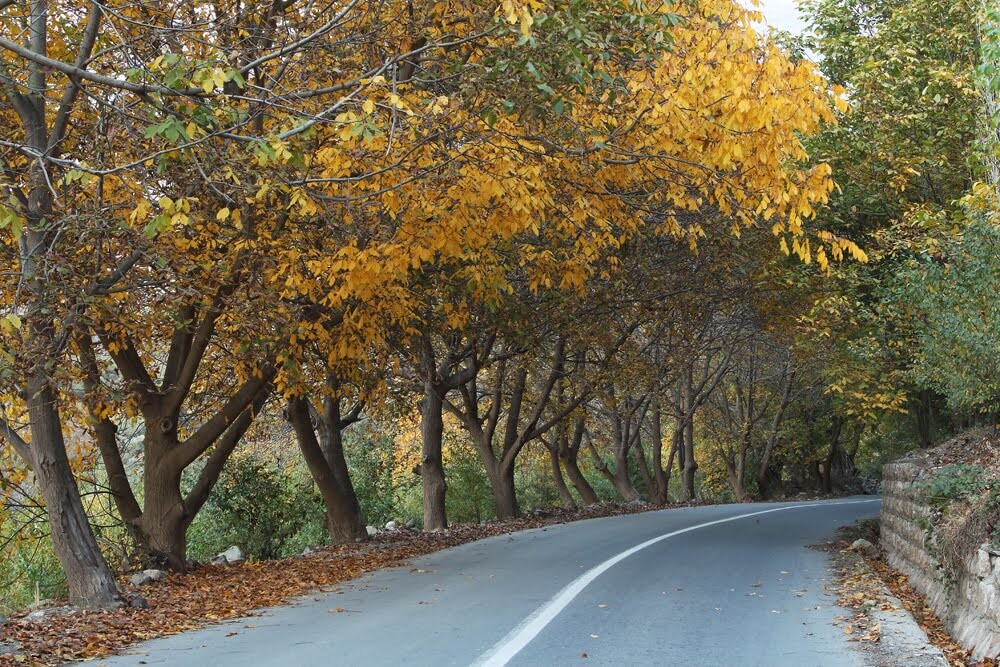 گوشخانی