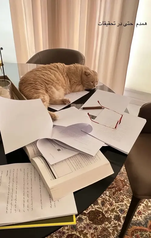 همدم بهنوش طباطبایی