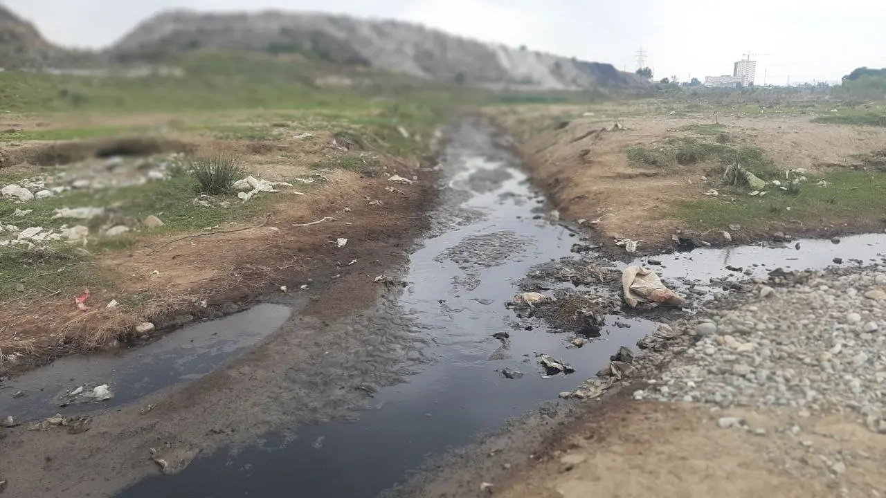 زباله شمال 3