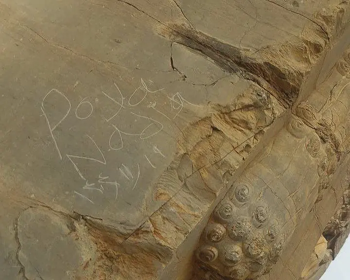 تخریب تخت جمشید