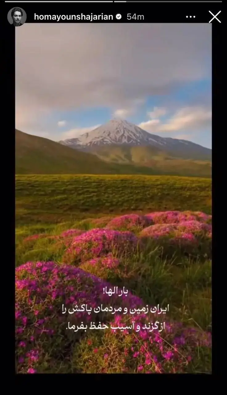 همایون شجریان 2