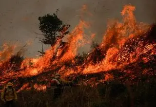 هشدار منابع طبیعی تهران نسبت به خطر آتش‌سوزی در پی افزایش دما