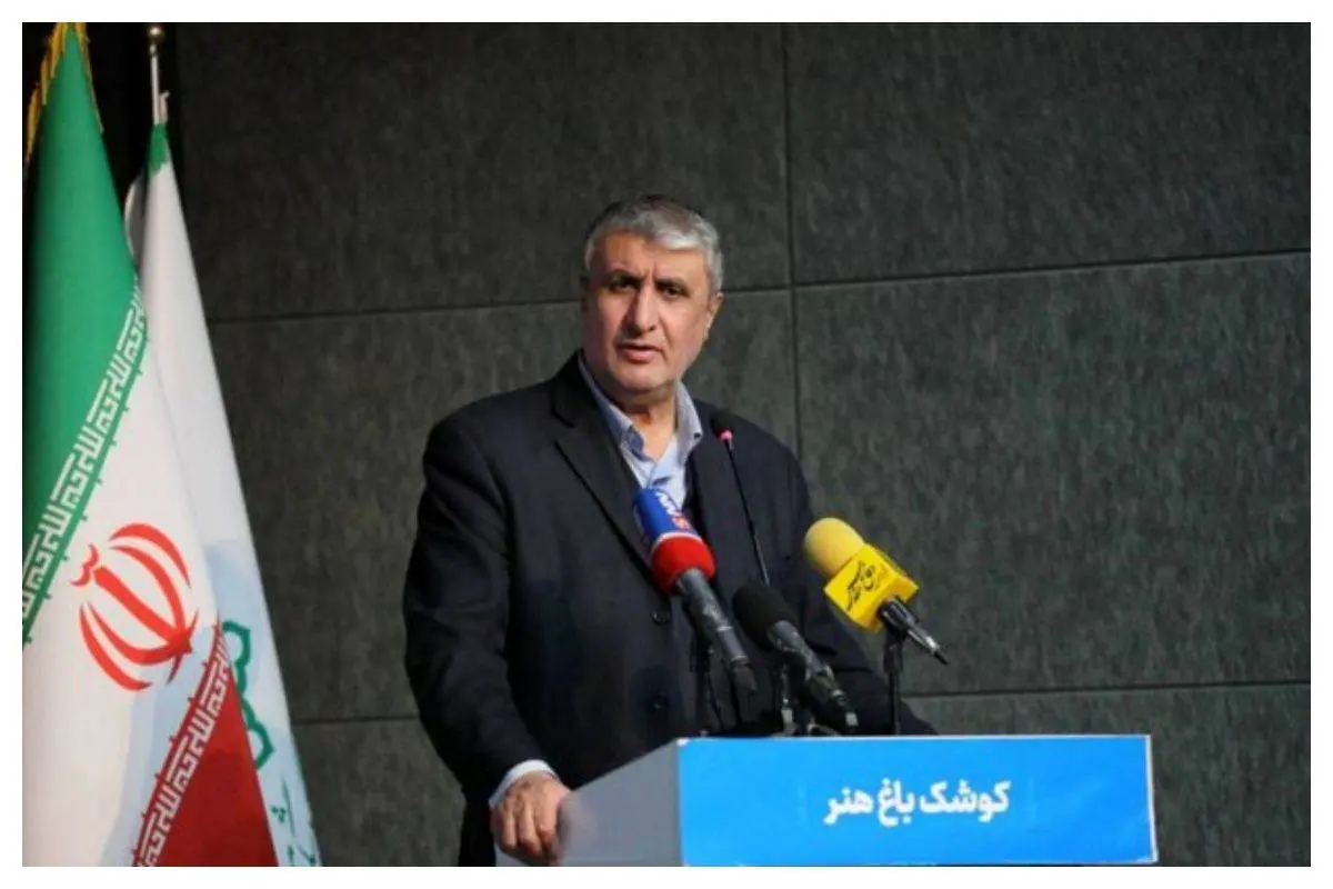 رئیس سازمان انرژی اتمی: پیشرفت علمی ایران نقطه اقتدار و محل هراس دشمنان است