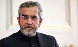 باقری‌کنی: صیانت از استقلال و هویت ملی از مهمترین جلوه‌های اساسی رویکرد رهبری شهید است
