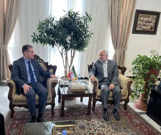 علیزاده با معاون عراقچی دیدار کرد