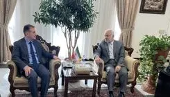 علیزاده با معاون عراقچی دیدار کرد