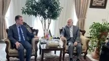 علیزاده با معاون عراقچی دیدار کرد