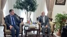 علیزاده با معاون عراقچی دیدار کرد