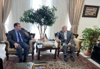 علیزاده با معاون عراقچی دیدار کرد