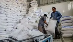 تعلل دولت در تعیین نرخ آرد؛ بحران تولید نان و ماکارونی در راه است؟