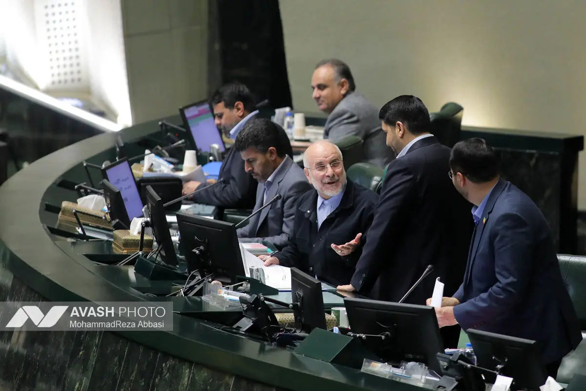 صحن علنی مجلس - ۲ دی