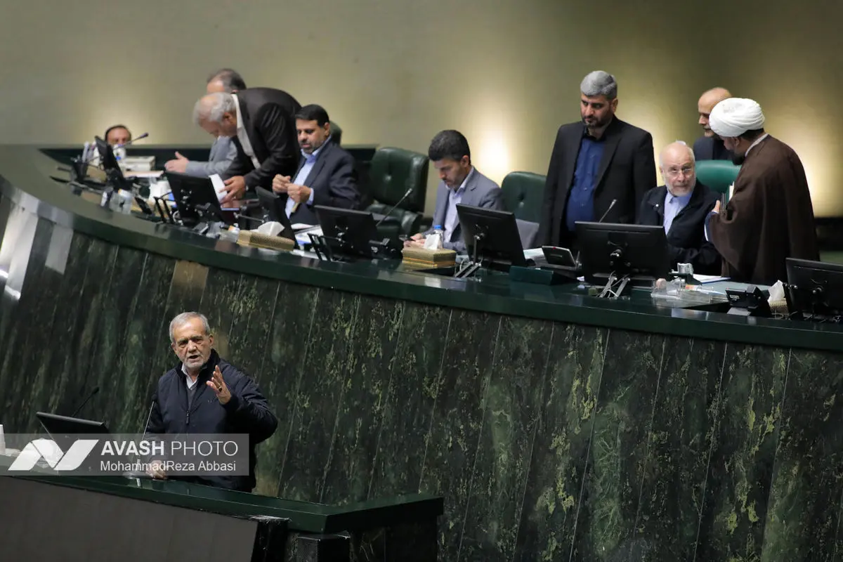 صحن علنی مجلس - ۲ دی