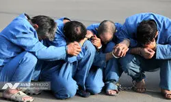 اجرای طرح ۶ روزه سراسری پلیس آگاهی؛ کشف ۳۵ هزار سند جعلی و دستگیری ۱۰۰ متهم جاعل